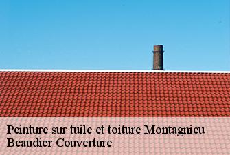Peinture sur tuile et toiture  montagnieu-01470 Beaudier Couverture 