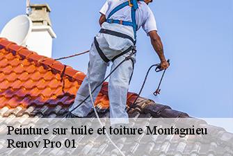 Peinture sur tuile et toiture  montagnieu-01470 Renov Pro 01