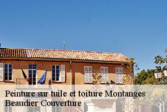 Peinture sur tuile et toiture  montanges-01200 Beaudier Couverture 