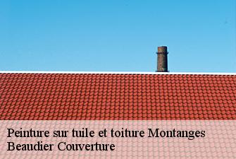 Peinture sur tuile et toiture  montanges-01200 Beaudier Couverture 