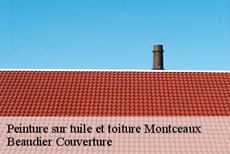 Peinture sur tuile et toiture  montceaux-01090 Beaudier Couverture 