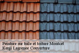 Peinture sur tuile et toiture montcet-01310 Kenji Lagrenee Couverture