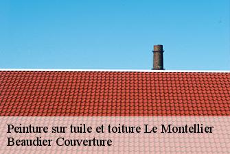 Peinture sur tuile et toiture  le-montellier-01800 Beaudier Couverture 