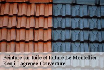 Peinture sur tuile et toiture le-montellier-01800 Kenji Lagrenee Couverture