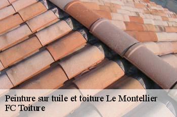 Peinture sur tuile et toiture  le-montellier-01800 FC Toiture