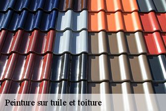 Peinture sur tuile et toiture  le-montellier-01800 Renov Pro 01
