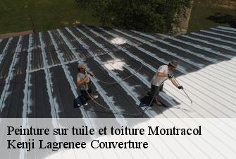 Peinture sur tuile et toiture montracol-01310 Kenji Lagrenee Couverture