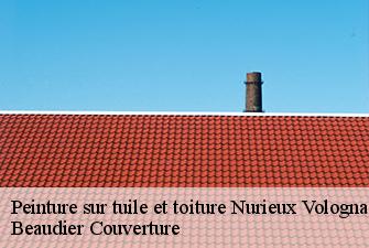 Peinture sur tuile et toiture  nurieux-volognat-01460 Beaudier Couverture 