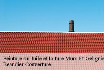 Peinture sur tuile et toiture  murs-et-gelignieux-01300 Beaudier Couverture 