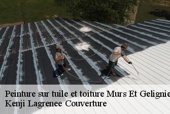 Peinture sur tuile et toiture murs-et-gelignieux-01300 Kenji Lagrenee Couverture