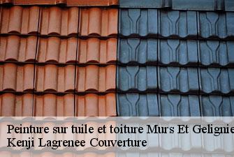 Peinture sur tuile et toiture murs-et-gelignieux-01300 Kenji Lagrenee Couverture