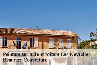 Peinture sur tuile et toiture  les-neyrolles-01130 Beaudier Couverture 
