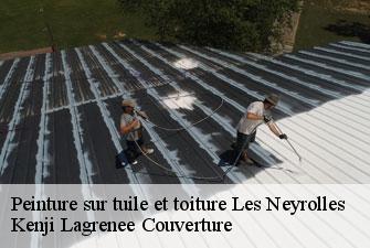 Peinture sur tuile et toiture les-neyrolles-01130 Kenji Lagrenee Couverture