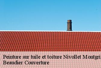 Peinture sur tuile et toiture  nivollet-montgriffon-01230 Beaudier Couverture 