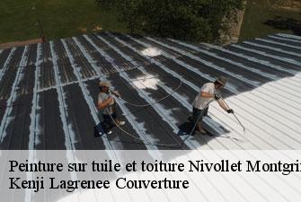Peinture sur tuile et toiture  nivollet-montgriffon-01230 Kenji Lagrenee Couverture