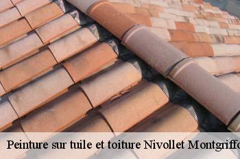 Peinture sur tuile et toiture  nivollet-montgriffon-01230 