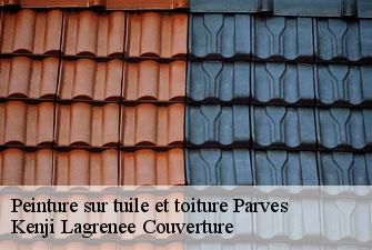 Peinture sur tuile et toiture parves-01300 Kenji Lagrenee Couverture