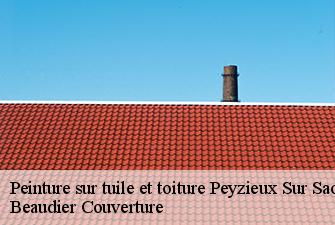 Peinture sur tuile et toiture  peyzieux-sur-saone-01140 Beaudier Couverture 