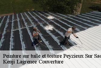 Peinture sur tuile et toiture peyzieux-sur-saone-01140 Kenji Lagrenee Couverture