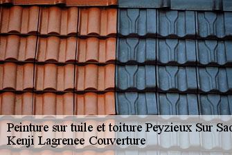 Peinture sur tuile et toiture peyzieux-sur-saone-01140 Kenji Lagrenee Couverture