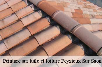 Peinture sur tuile et toiture  peyzieux-sur-saone-01140 