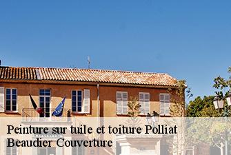 Peinture sur tuile et toiture  polliat-01310 Beaudier Couverture 