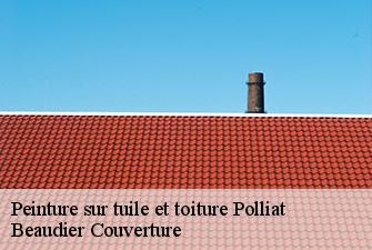 Peinture sur tuile et toiture  polliat-01310 Beaudier Couverture 