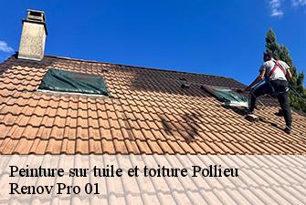 Peinture sur tuile et toiture  pollieu-01350 Renov Pro 01