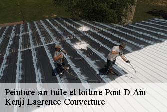 Peinture sur tuile et toiture  pont-d-ain-01160 Kenji Lagrenee Couverture
