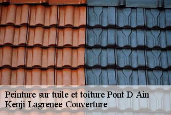 Peinture sur tuile et toiture  pont-d-ain-01160 Kenji Lagrenee Couverture