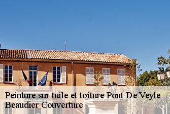 Peinture sur tuile et toiture  pont-de-veyle-01290 Beaudier Couverture 