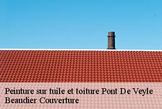 Peinture sur tuile et toiture  pont-de-veyle-01290 Beaudier Couverture 
