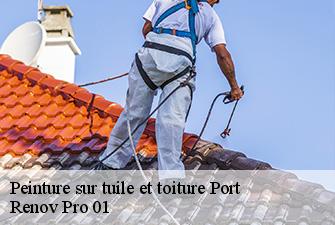 Peinture sur tuile et toiture  port-01460 Renov Pro 01
