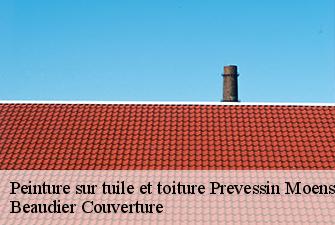 Peinture sur tuile et toiture  prevessin-moens-01280 Beaudier Couverture 