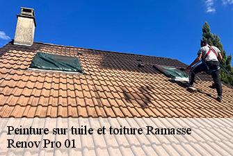 Peinture sur tuile et toiture  ramasse-01250 Renov Pro 01