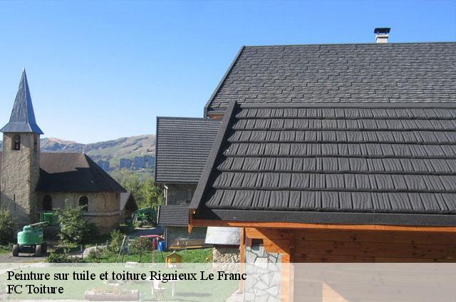 Peinture sur tuile et toiture  rignieux-le-franc-01800 FC Toiture