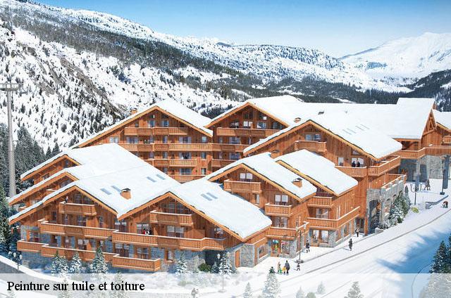 Peinture sur tuile et toiture  rignieux-le-franc-01800 FC Toiture