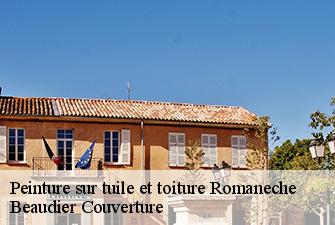 Peinture sur tuile et toiture  romaneche-01250 Beaudier Couverture 