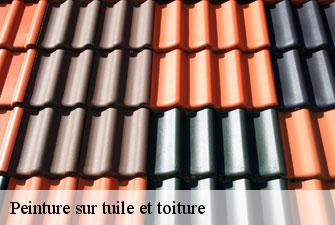 Peinture sur tuile et toiture romaneche-01250 Kenji Lagrenee Couverture