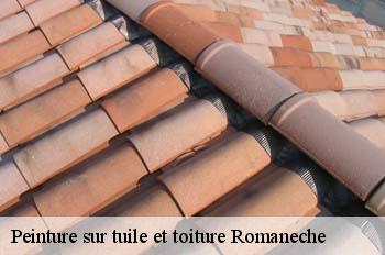 Peinture sur tuile et toiture  romaneche-01250 