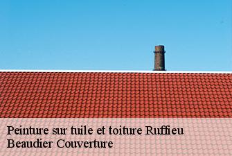 Peinture sur tuile et toiture  ruffieu-01260 Beaudier Couverture 