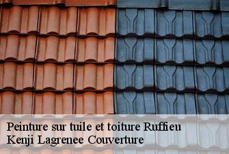 Peinture sur tuile et toiture  ruffieu-01260 Kenji Lagrenee Couverture