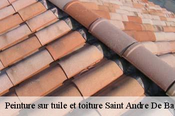 Peinture sur tuile et toiture  saint-andre-de-bage-01380 