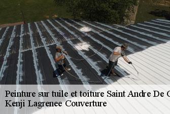 Peinture sur tuile et toiture saint-andre-de-corcy-01390 Kenji Lagrenee Couverture