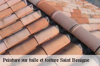 Peinture sur tuile et toiture  saint-benigne-01190 