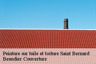 Peinture sur tuile et toiture  saint-bernard-01600 Beaudier Couverture 