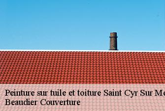 Peinture sur tuile et toiture  saint-cyr-sur-menthon-01380 Beaudier Couverture 