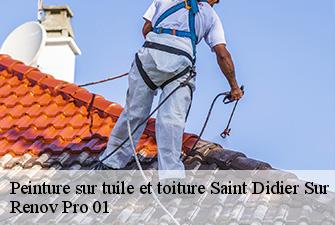 Peinture sur tuile et toiture  saint-didier-sur-chalaronne-01140 Renov Pro 01
