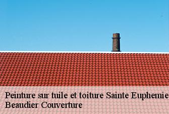 Peinture sur tuile et toiture  sainte-euphemie-01600 Beaudier Couverture 