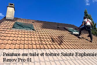 Peinture sur tuile et toiture  sainte-euphemie-01600 Renov Pro 01